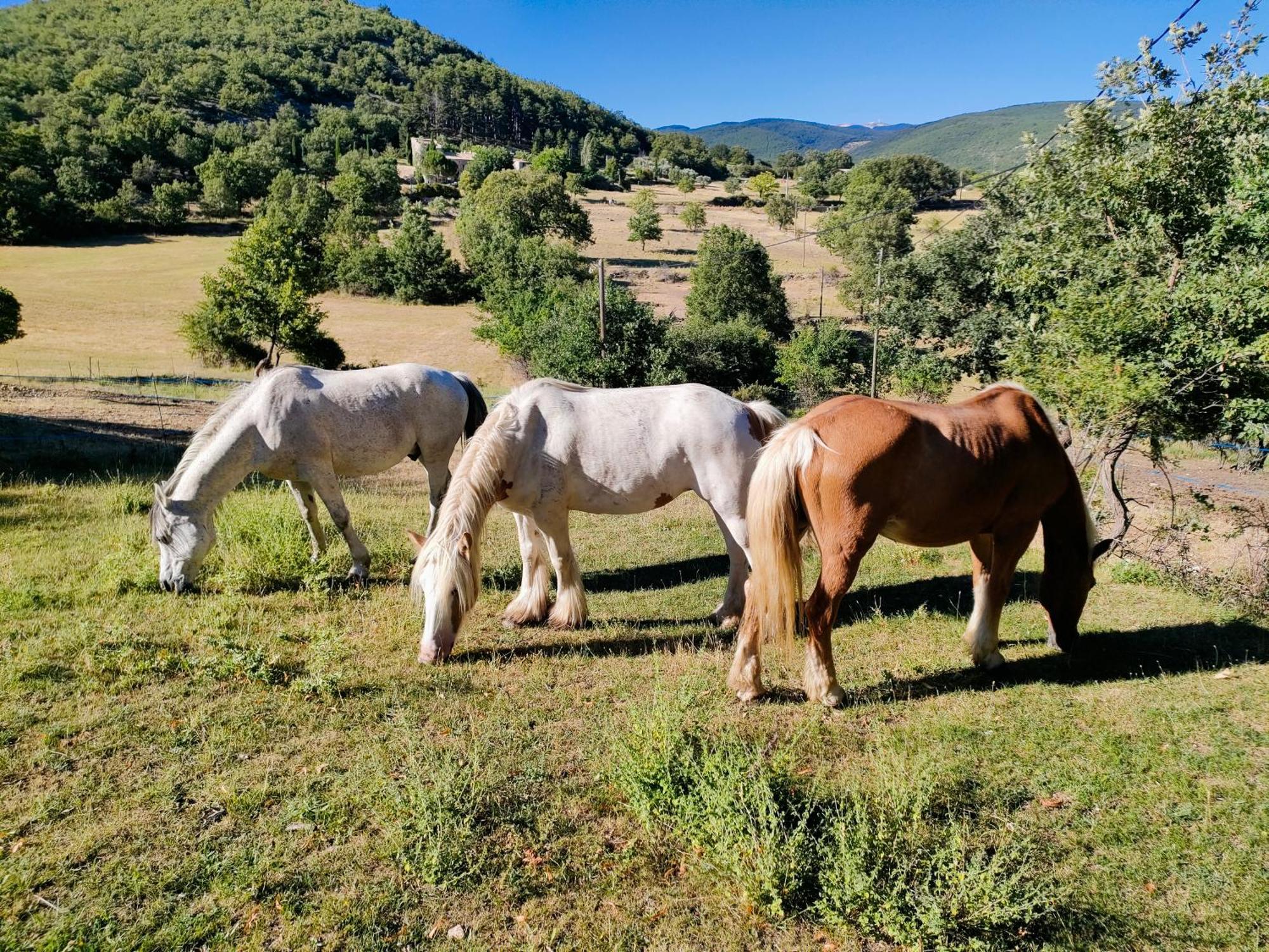Gite A La Ferme Ongles Extérieur photo
