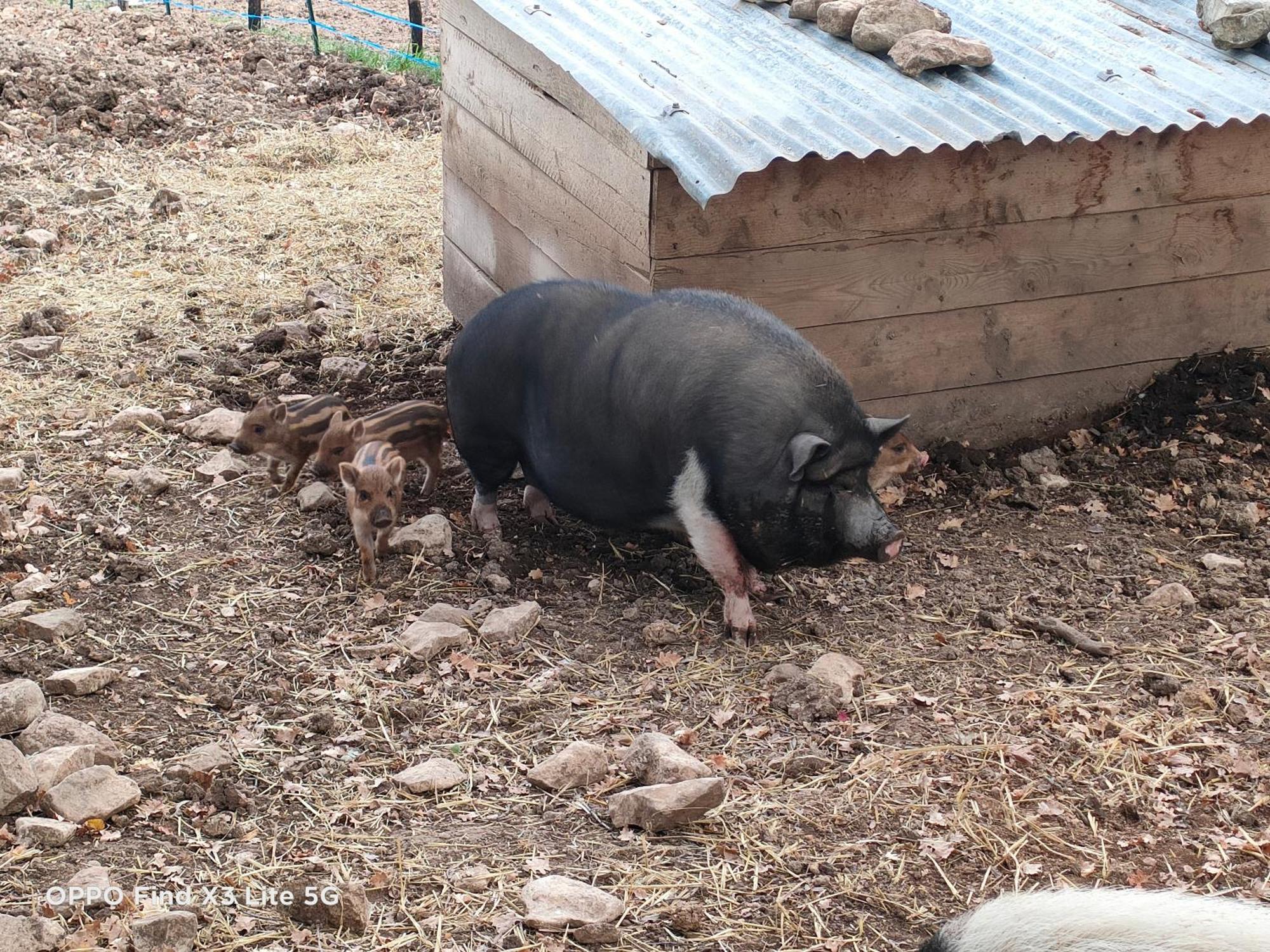 Gite A La Ferme Ongles Extérieur photo