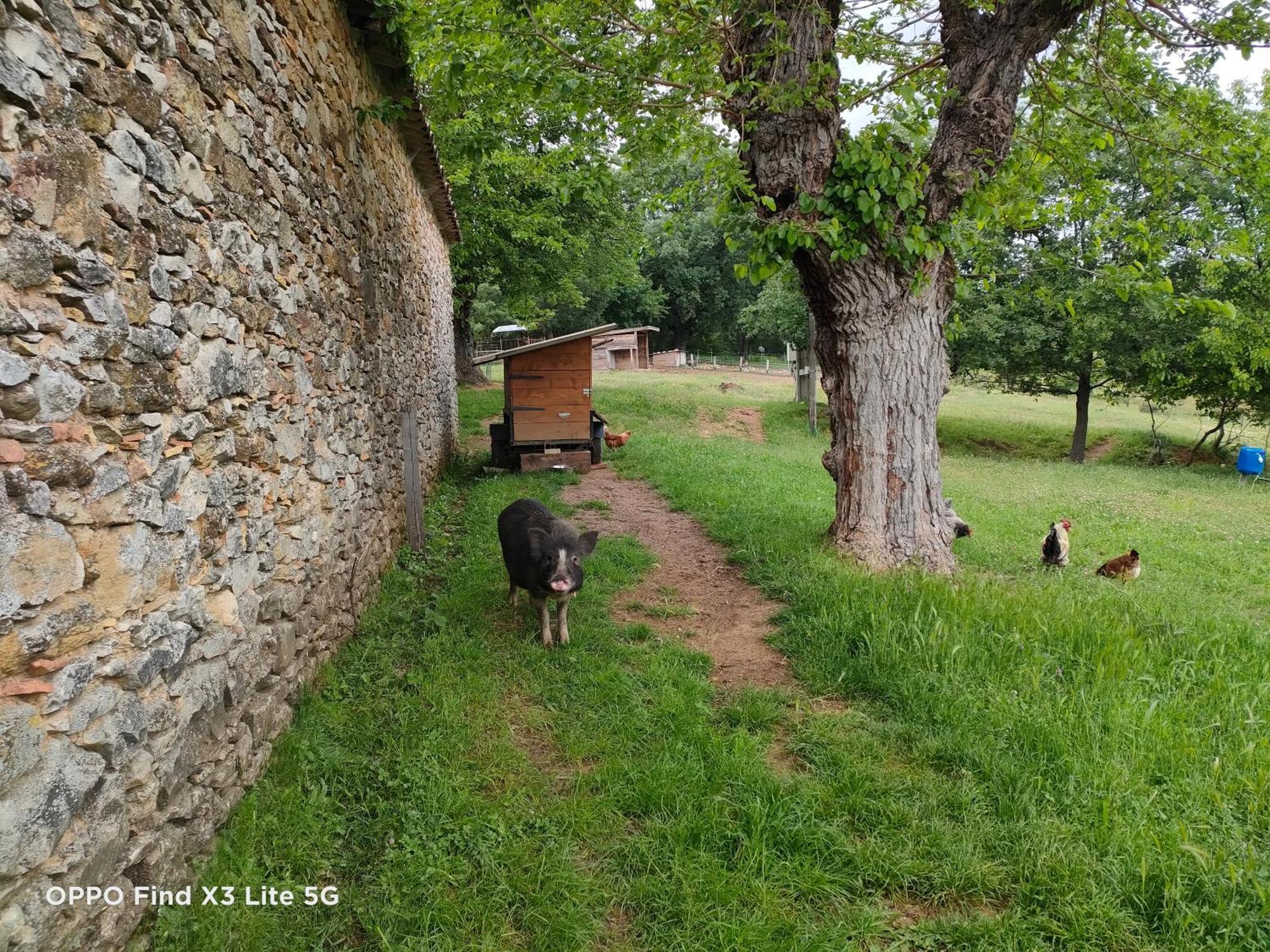 Gite A La Ferme Ongles Extérieur photo
